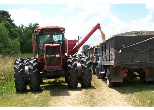 Rice Trucks