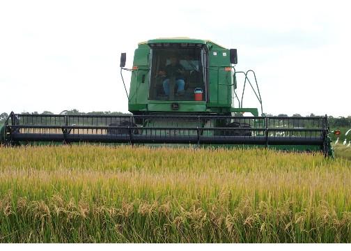 JD CTS Combine