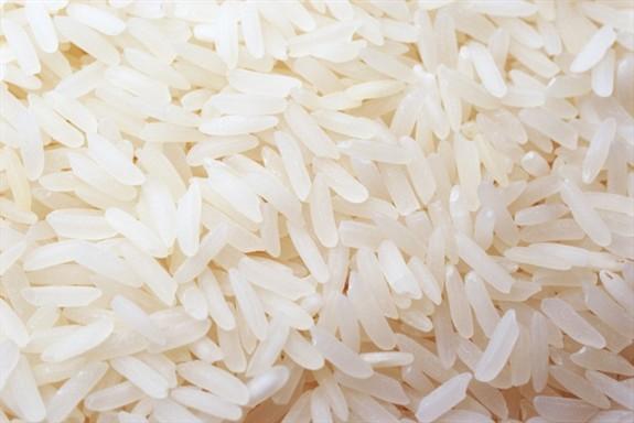 Rice